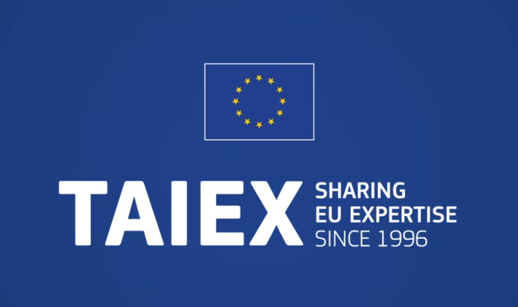TAEIX Logo